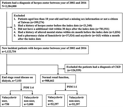 Valacyclovir-associated neurotoxicity among patients on hemodialysis and peritoneal dialysis: A nationwide population-based study